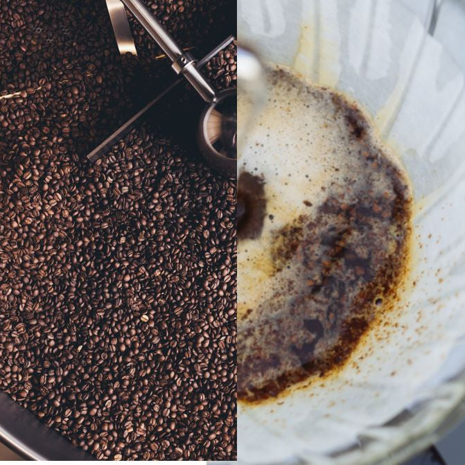Roasting vs. Brewing - What's the Difference?