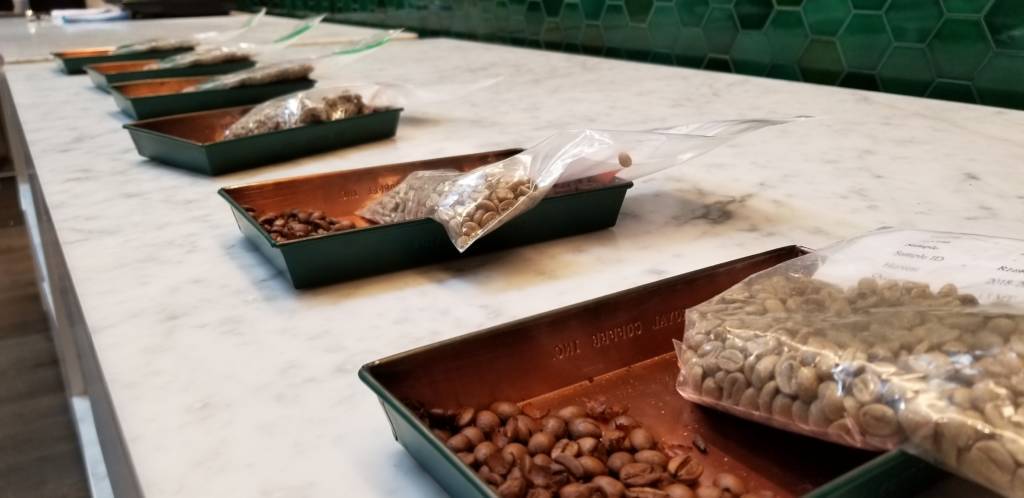 Unique Coffee Tasting - Myanmar