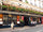 Café Procope: The longest continuously running café in France