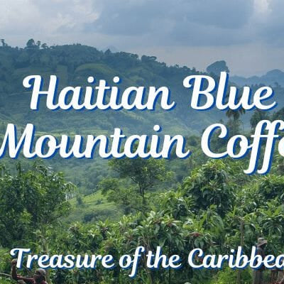 Haitian Blue Mountain Coffee with coffee plants and mountainous landscape with text that reads Haitian Blue Mountain Coffee, Treasure of the Caribbean.