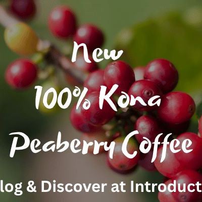 Promotional banner for Kona Peaberry coffee with coffee cherries and text.