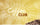 CoffeeAM Coffee Club.  VIP Treatment and a Great Gift Idea.