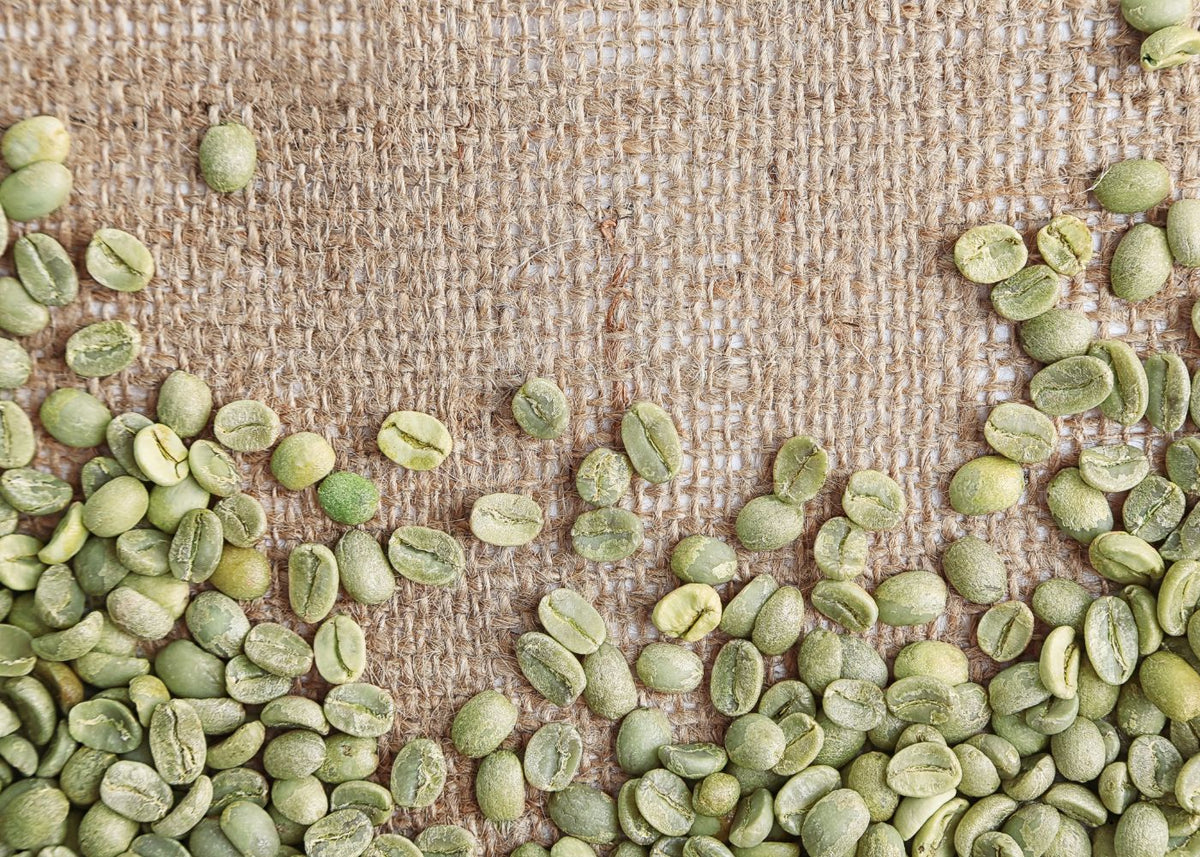 How U.S. Tariffs Are Affecting Coffee Prices in 2025