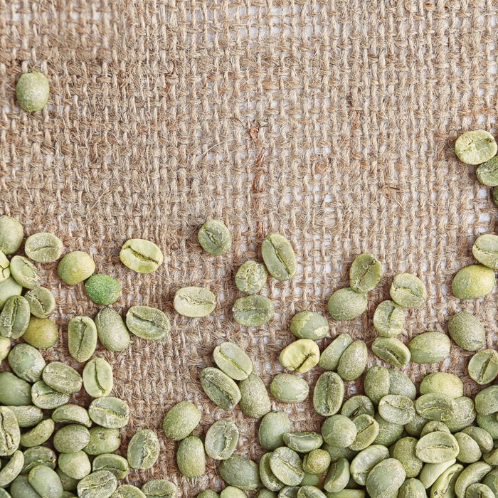 How U.S. Tariffs Are Affecting Coffee Prices in 2025