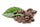 The Life of the Coffee Bean