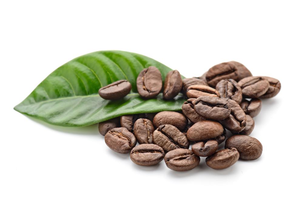 The Life of the Coffee Bean