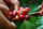 Growing the Perfect Coffee