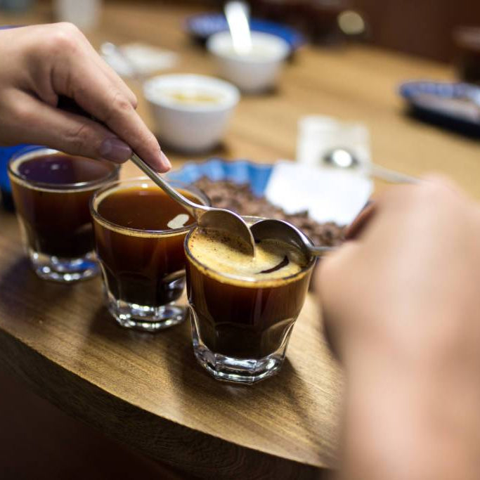 Why Do Coffees From Different Regions Taste Different?