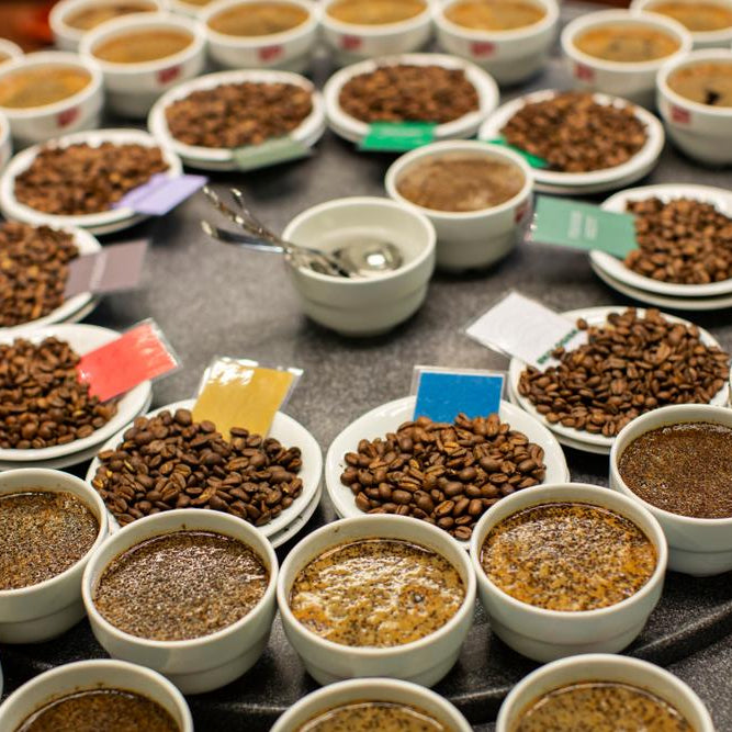Coffee Quiz: How Well Do You Know Your Brew?