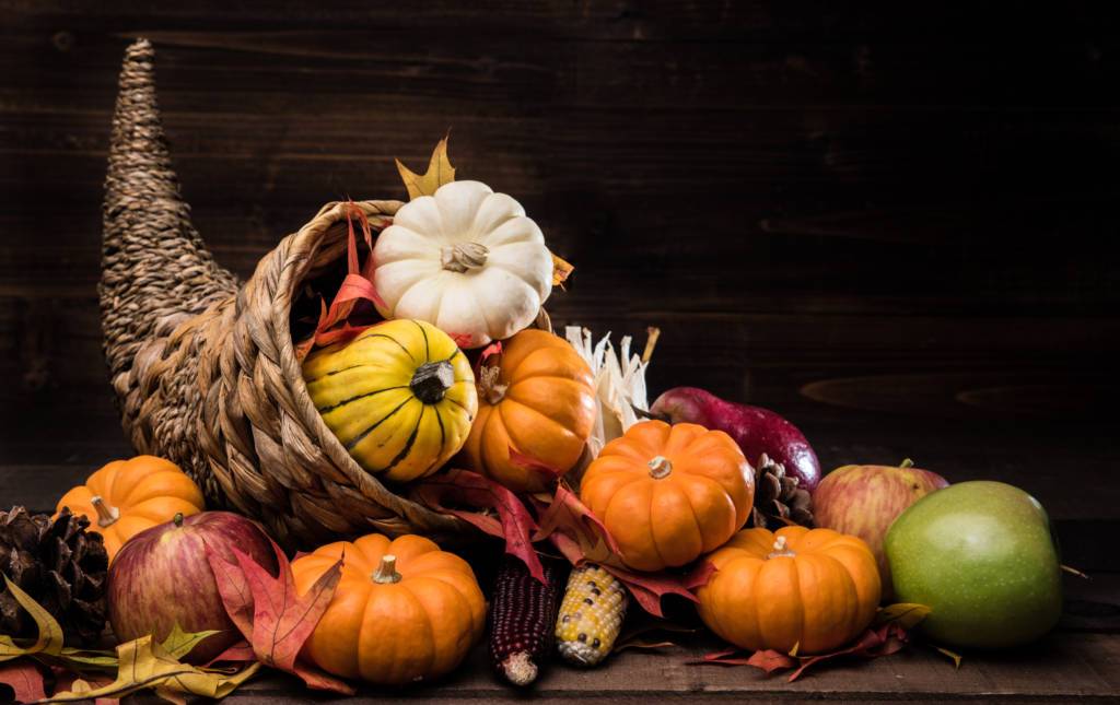 New Offerings for Thanksgiving