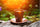 Spring Coffees and Teas to Brighten Your Morning