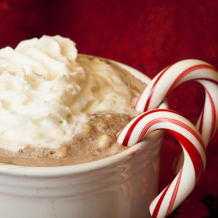 Check Out These Ideas to Warm Up This Winter With Hot Cocoa