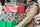 Holiday Shopping - How to Make It Through the Gift Giving Season