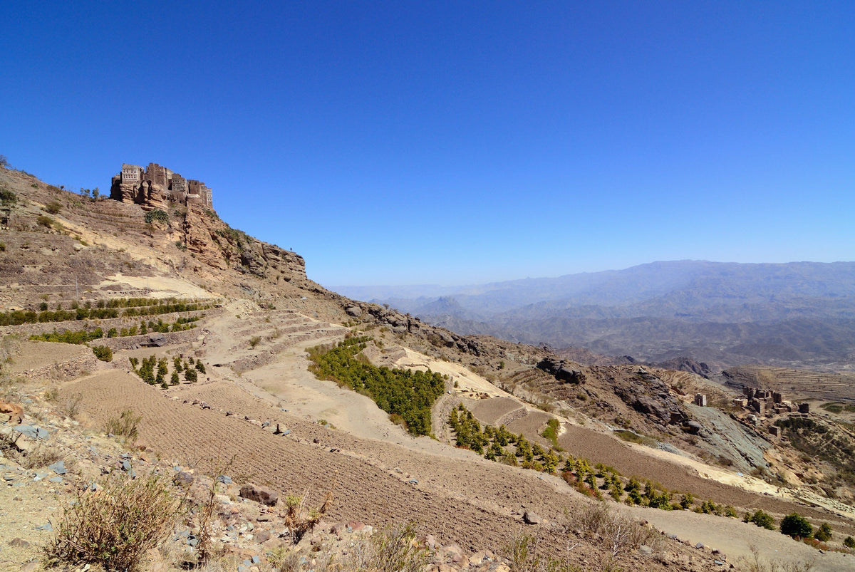 Africa And Arabian Peninsula Coffee Tour