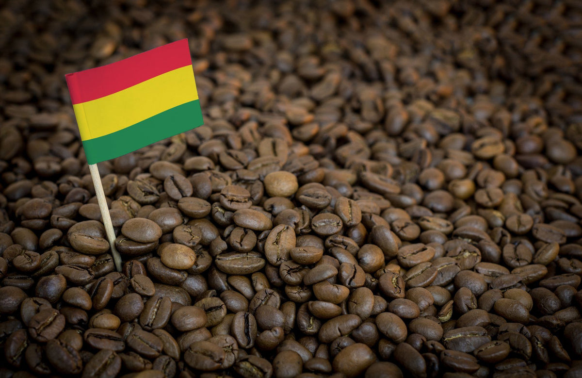 Why Is Organic Bolivia 'Colonial Caranavi' Fair-Trade So Popular?