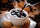 10 More Decaf Coffees for Your Drinking Pleasure