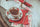 A Quick Cup of Tea History