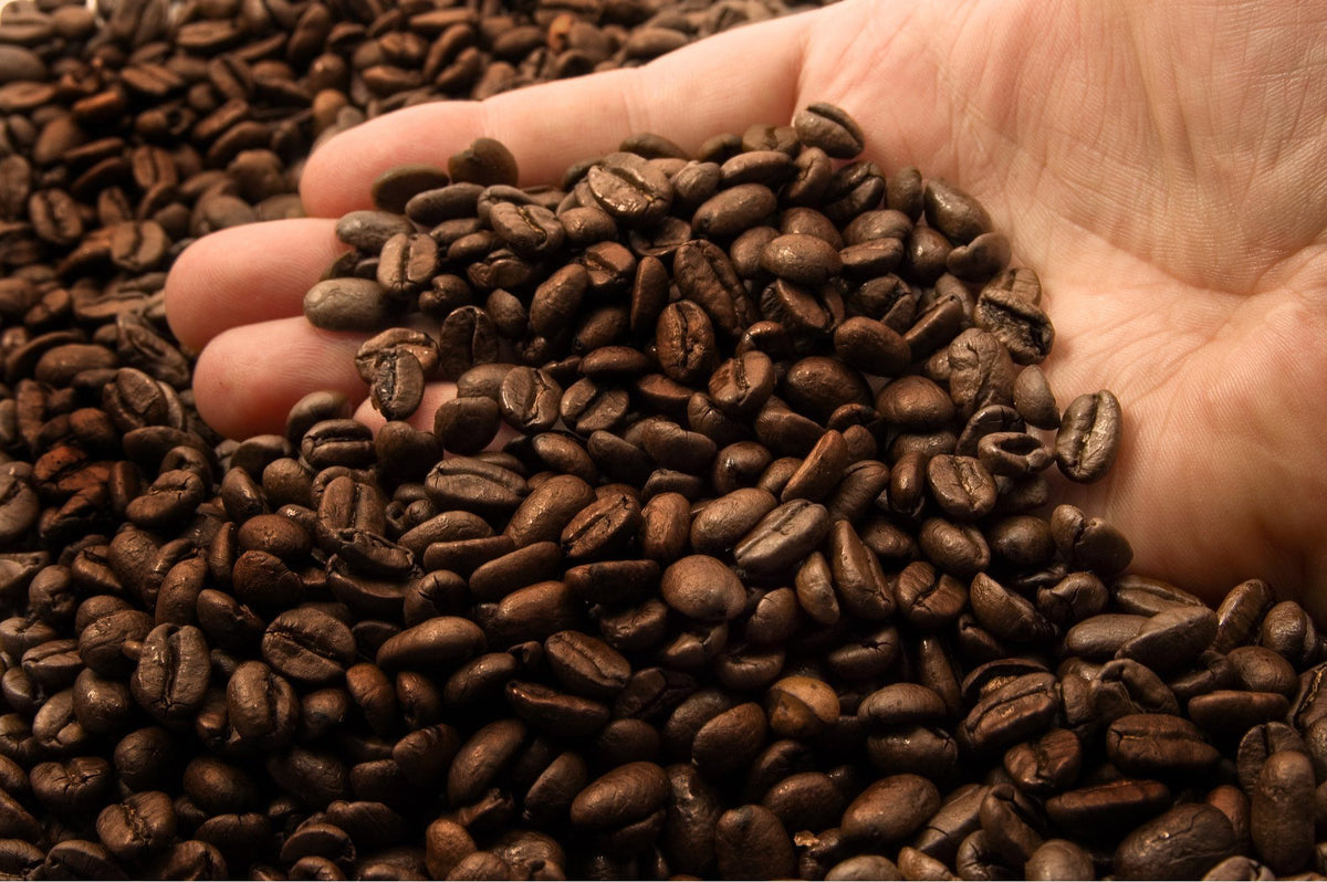 Our Eight Best-Selling Medium Roast Coffees