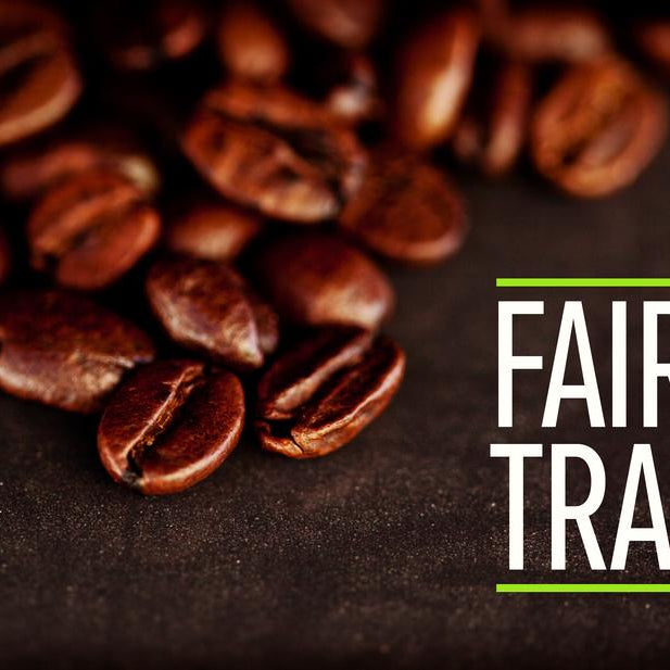 These 7 Coffees Are Ideal For Taking Part In Fair Trade Month