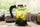 Cafe@Home - French Press