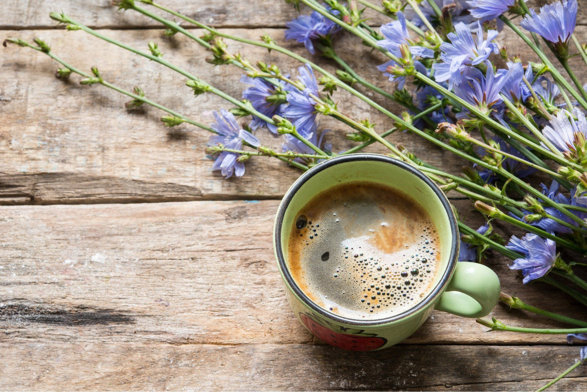 What is Chicory? Should You Try It?