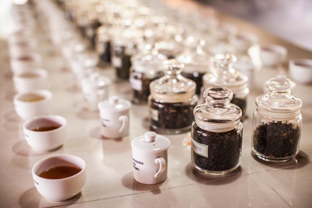Quiz: Test Your Tea Knowledge