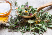 Herbal Teas and Tisanes to Keep You Healthy Year Round
