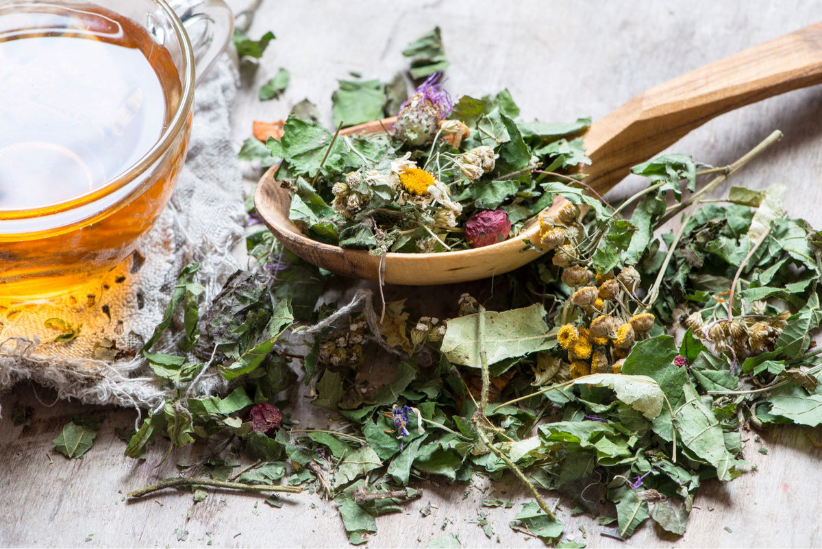 Herbal Teas and Tisanes to Keep You Healthy Year Round