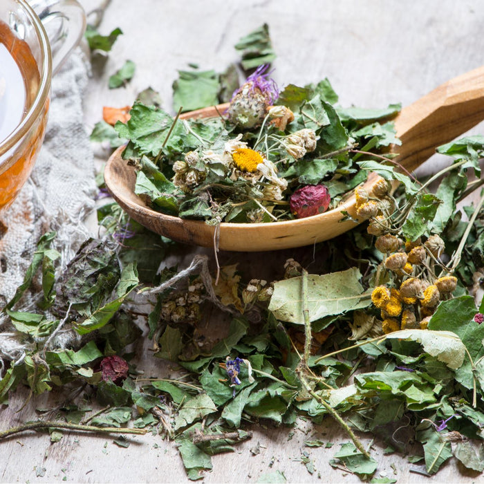 Herbal Teas and Tisanes to Keep You Healthy Year Round