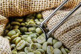 A Quick Cup of Coffee History