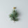 Minimalist Gifting - What To Give?