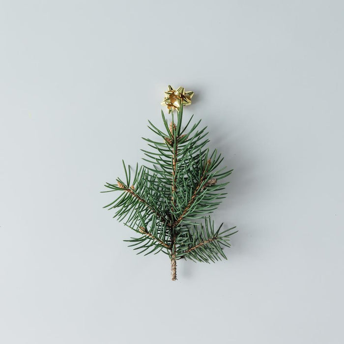 Minimalist Gifting - What To Give?