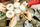Happy New Year From CoffeeAM