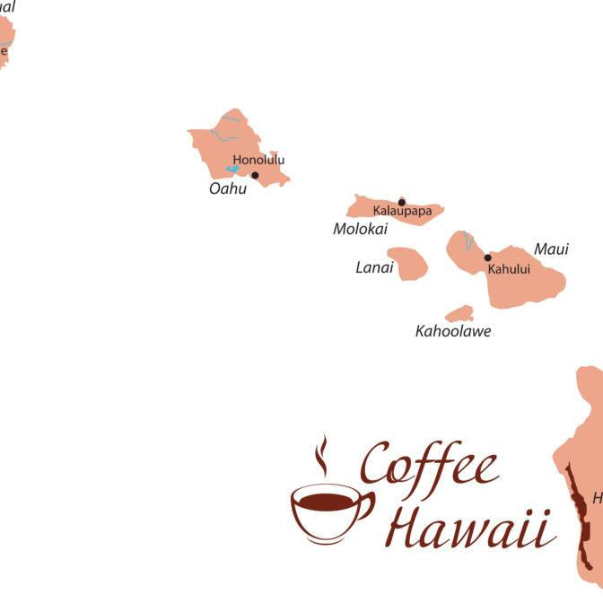 Coffee in Paradise - A Hawaiian Coffee Primer