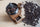 Choosing the Correct Grind for your Coffee