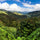 The Caribbean Coffee Tour