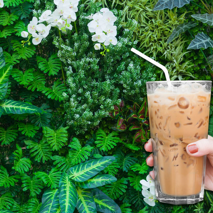 Getting Your Caffeine Fix Through the Hot Months Ahead