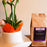 Southern Pecan Flavored Coffee