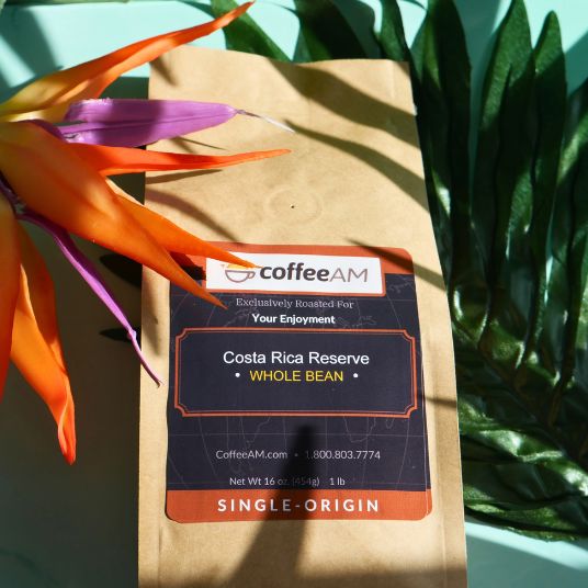 CoffeeAM Costa Rica Reserve whole bean coffee package with a plant in the background