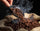 A close-up of roasted coffee beans spilling from a metal scoop into a burlap sack against a dark background with visible steam.