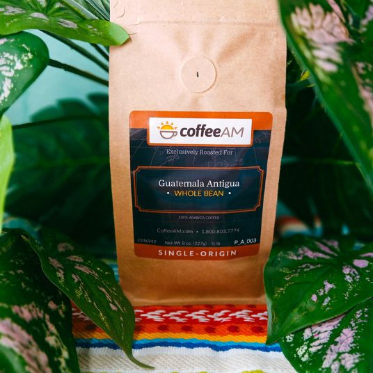 Coffee AM Guatemala Antigua coffee bag with green leaves in the background