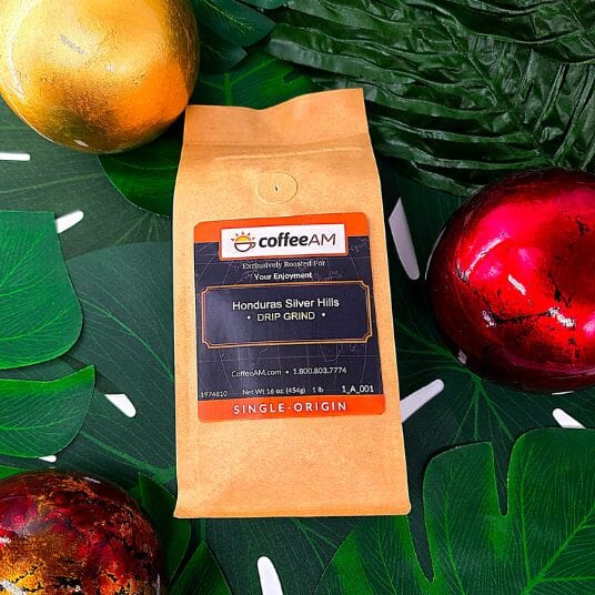 CoffeeAM Honduras Silver Hills coffee package on a decorative background with leaves and fruits.
