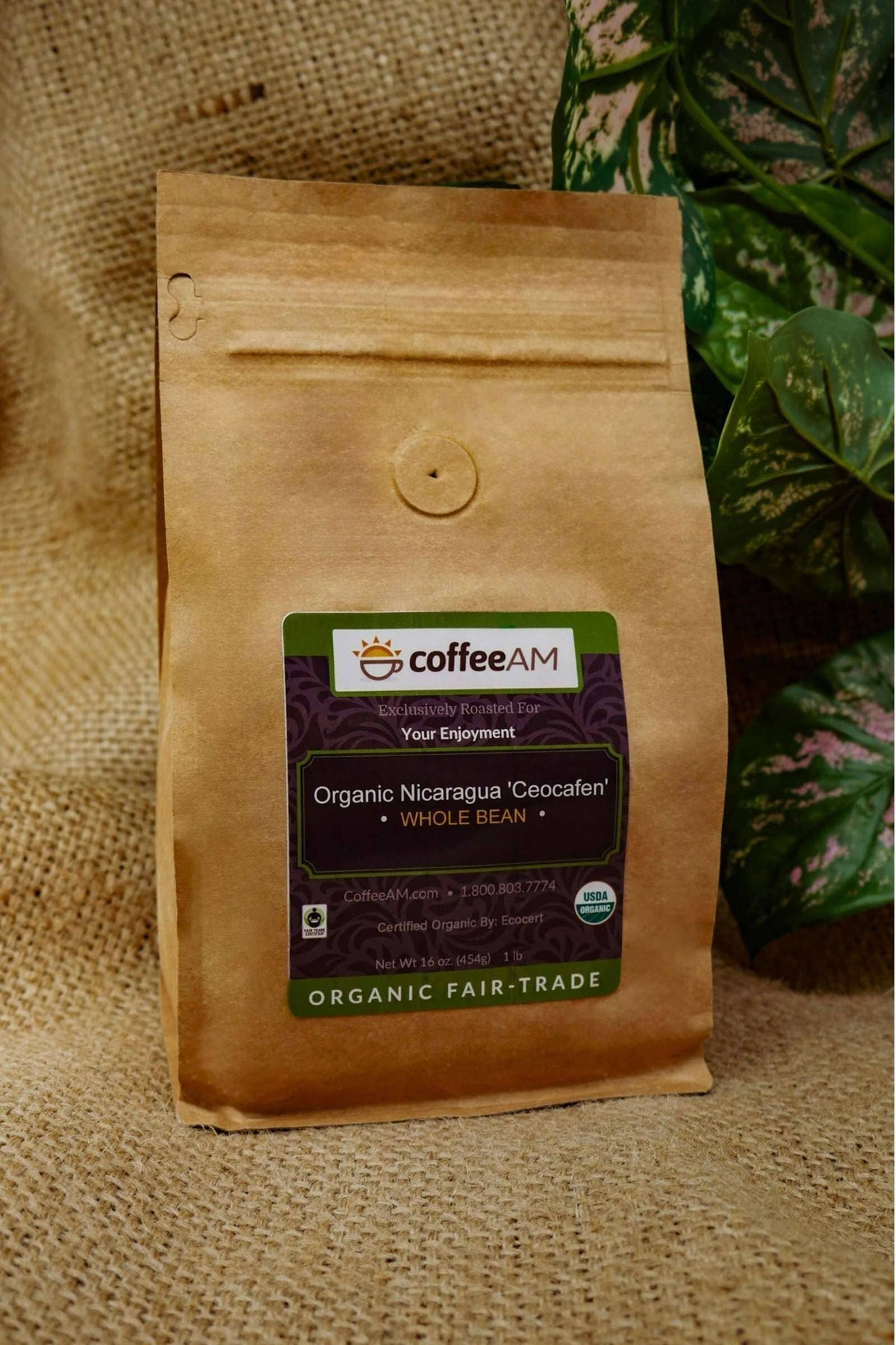 A kraft paper bag of CoffeeAM Organic Nicaragua 'Ceocafen' Whole Bean coffee, set against a burlap background with green leafy houseplants. The label displays the CoffeeAM logo, USDA Organic seal, and reads 'ORGANIC FAIR-TRADE'.