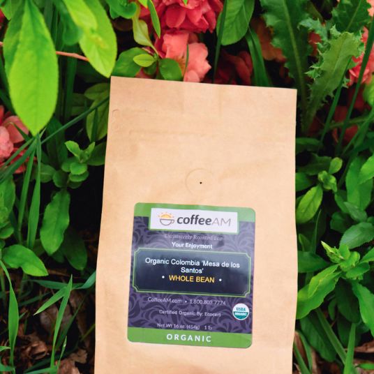 Kraft paper coffee bag with a label on a natural background of greenery and flowers