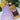 Brown coffee bag with a label on a purple board with 'Hippity Hop' text, surrounded by flowers.