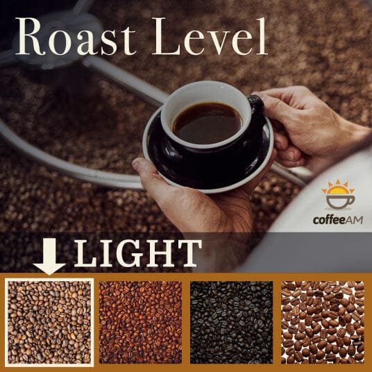 Hand holding a cup of coffee with 'Roast Level' text and light roast level indicator, featuring Coffee AM logo.