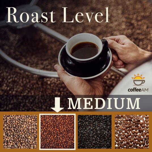 Hand holding a cup of coffee with coffee beans and 'Roast Level' text, featuring Coffee AM brand.