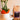CoffeeAM coffee bag next to a potted plant on a table