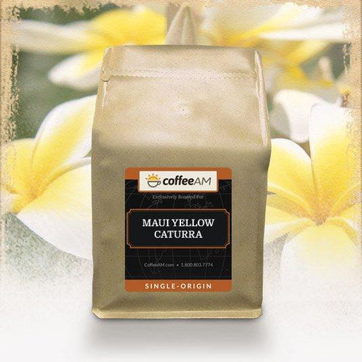 maui-yellow-caturra-coffee