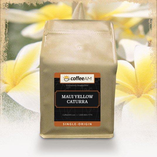 maui-yellow-caturra-coffee